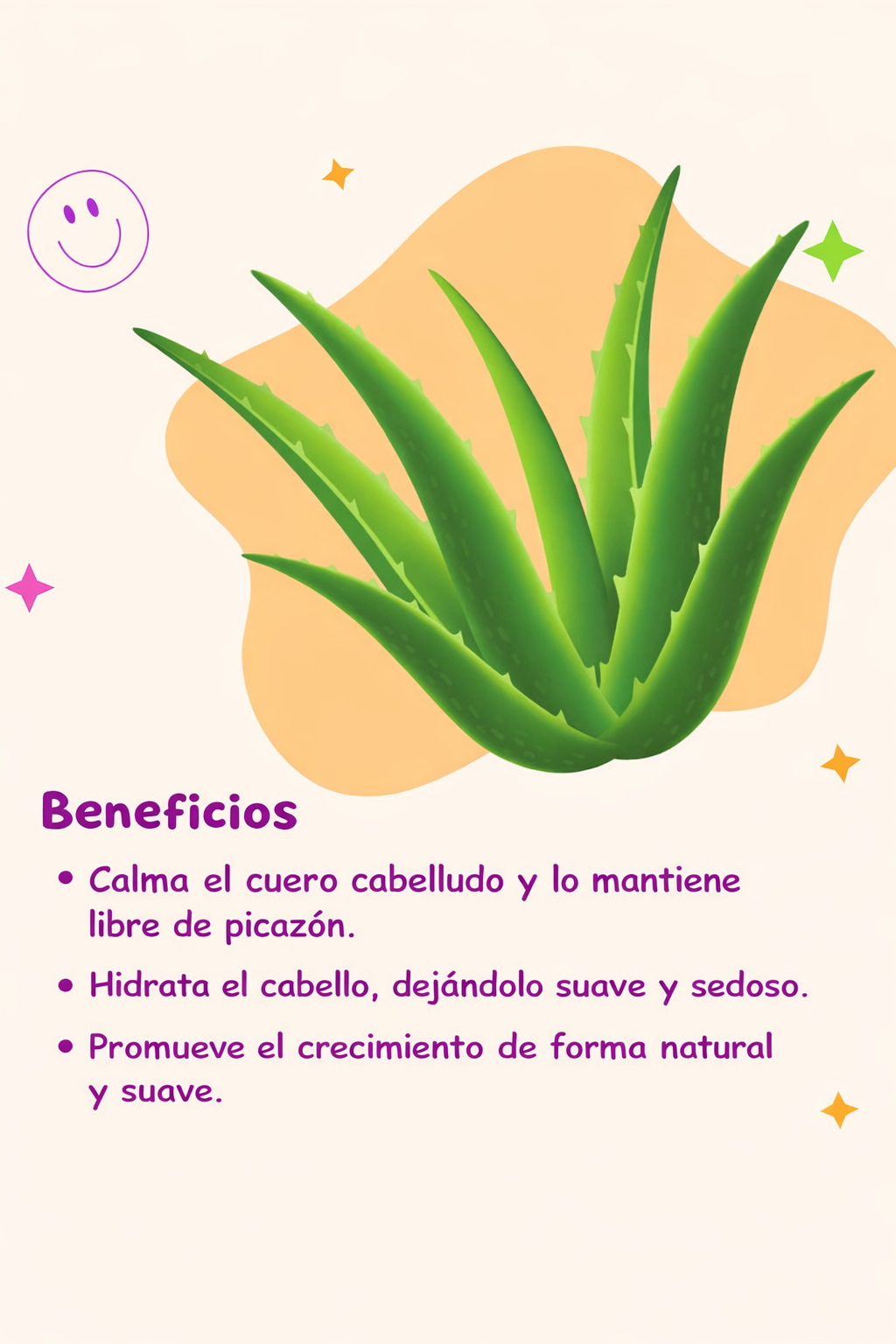 Shampoo Kanica de Aloe Vera y Aguacate – Sin Parabenos