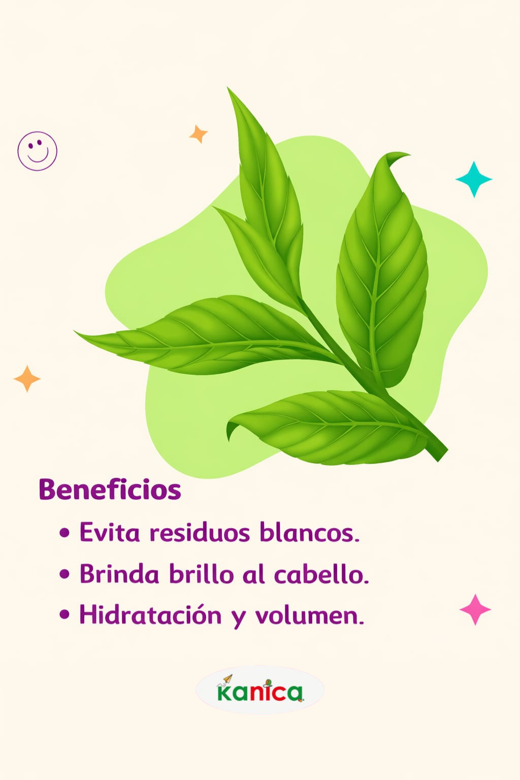 Kit Kanica 2 Shampoo + 1 Gel de Te Verde + 1 Gel de Aguacate