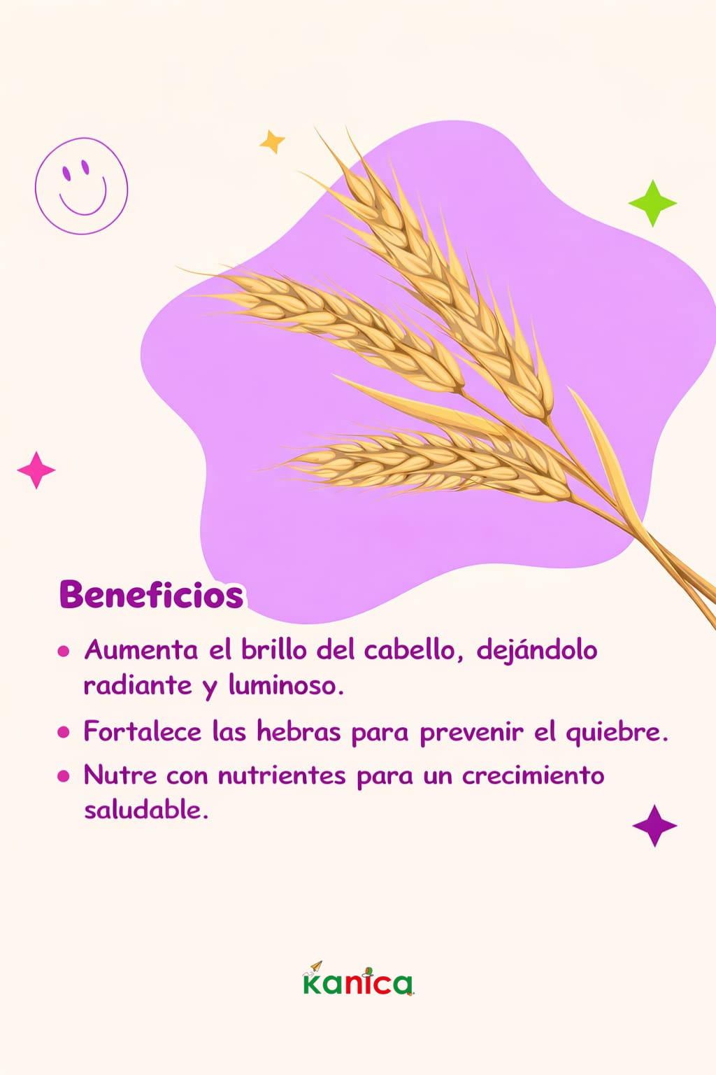 Kit Kanica 2 Shampoo + 1 Gel de Te Verde + 1 Gel de Aguacate